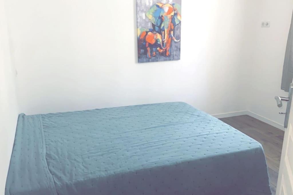 Appartement T2 Chez Thomas Et Nas Omessa Ngoại thất bức ảnh